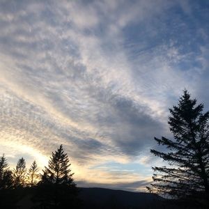 Meet your Posher, Isabella